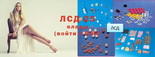 ПСИЛОЦИБИНОВЫЕ ГРИБЫ Бугульма