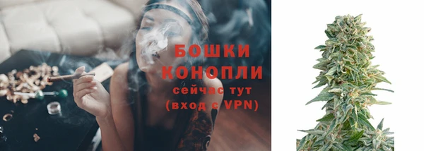 соль ск Верея