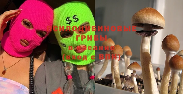 стафф Бородино