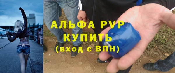 стафф Бородино